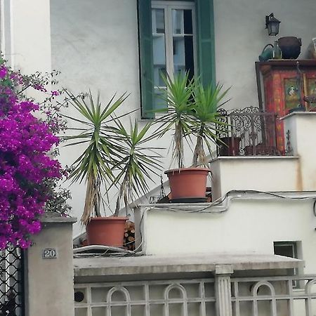 Villa Cecile Ajaccio  Dış mekan fotoğraf